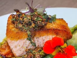 Salmon