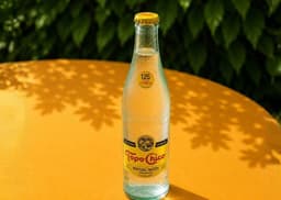 Topo Chico