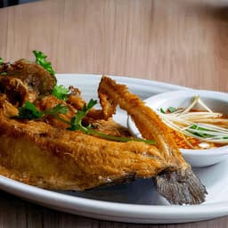 Trout With Mango Sauce