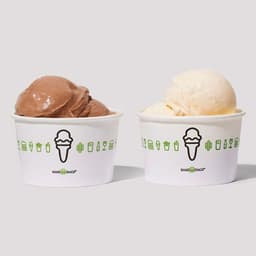 Frozen Custard