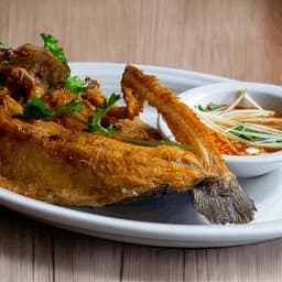 Trout With Mango Sauce