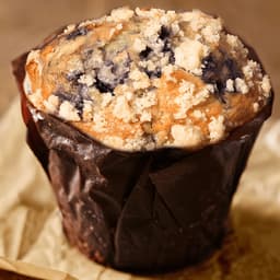 Blueberry Muffin