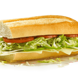 #14 the Veggie
