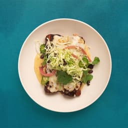 Chicken Enchiladas