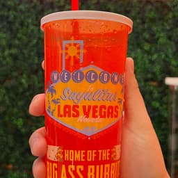Sodas 21 Oz
