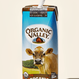 Kids Chocolate Milk