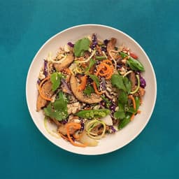 Chicken Yakisoba Noodles