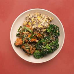 Vegetarian Plate (No Protein)