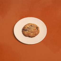 Gluten-Free Chocolate Chip Cashew Cookie