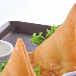 Veg Samosa (2)