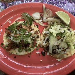 Jumbo Tilapia Tacos
