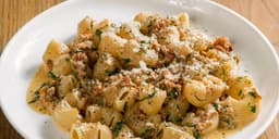 Pipette Ragu