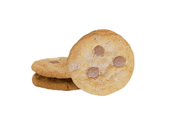 Double Chocolate Chip Cookie